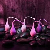 Evolved Tight and Delight Kegel Trainer Set 5 Piece Kit > Sex Toys For Ladies > Kegel Exercise